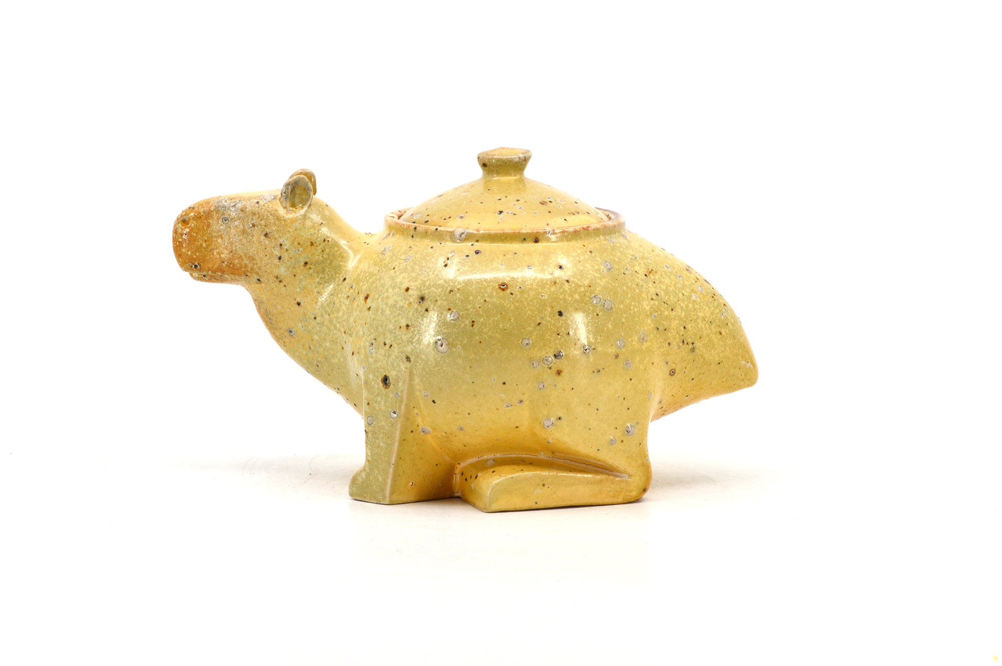 Capybara spice jar 008