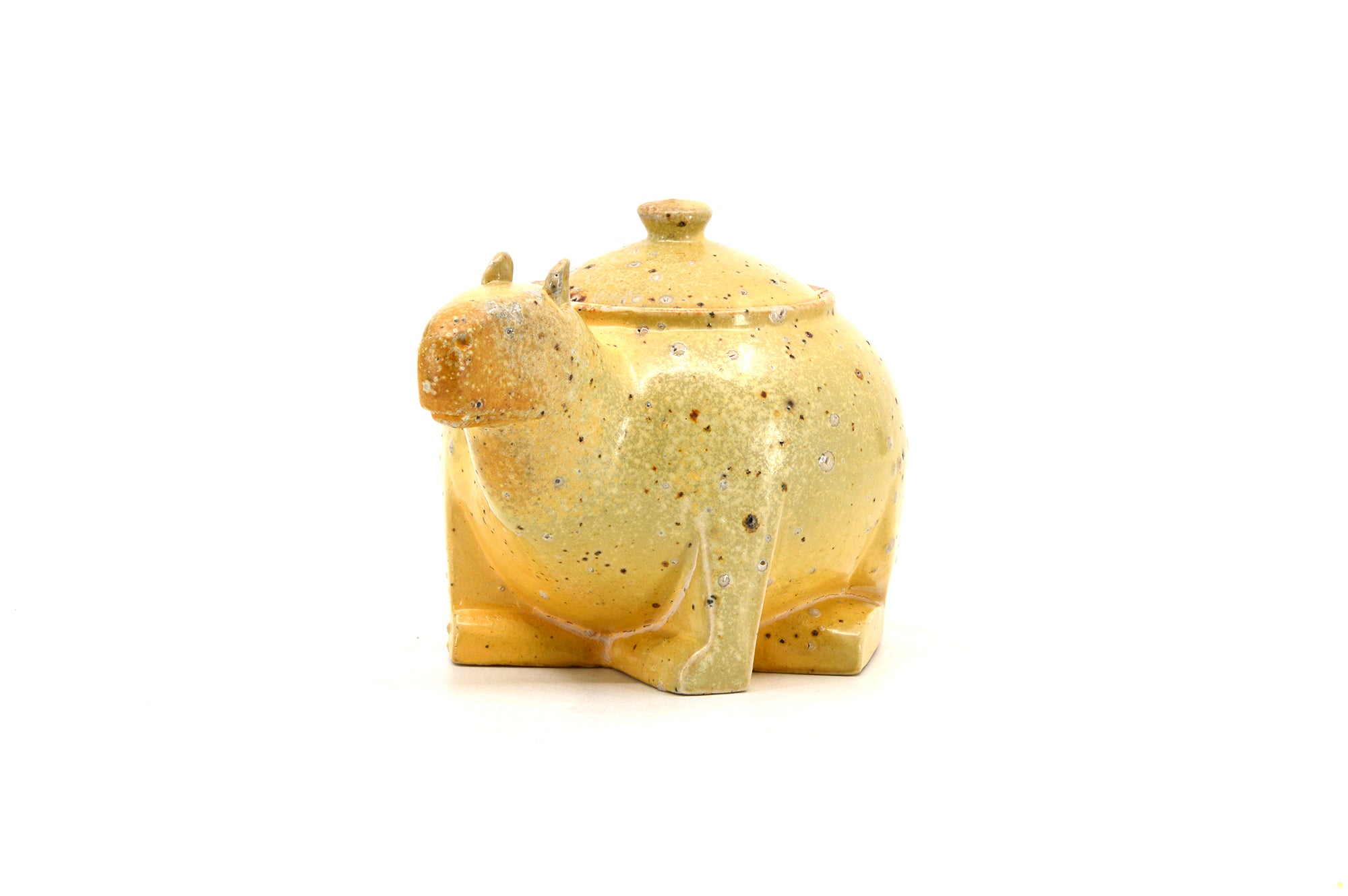 Capybara spice jar 008