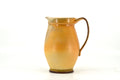 Pitcher 055
