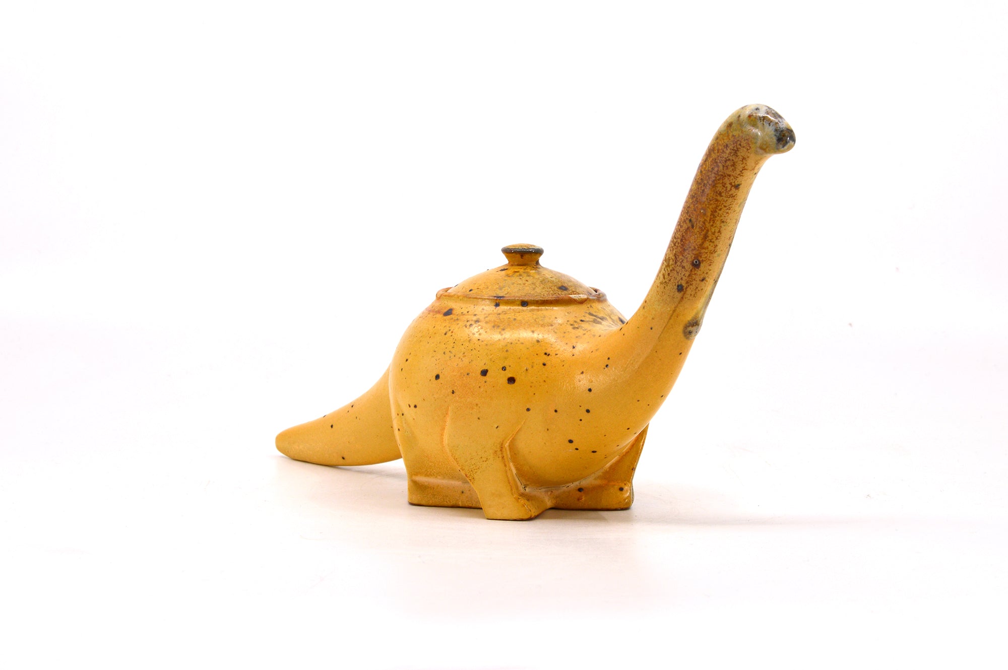 Diplodocus spice jar 066