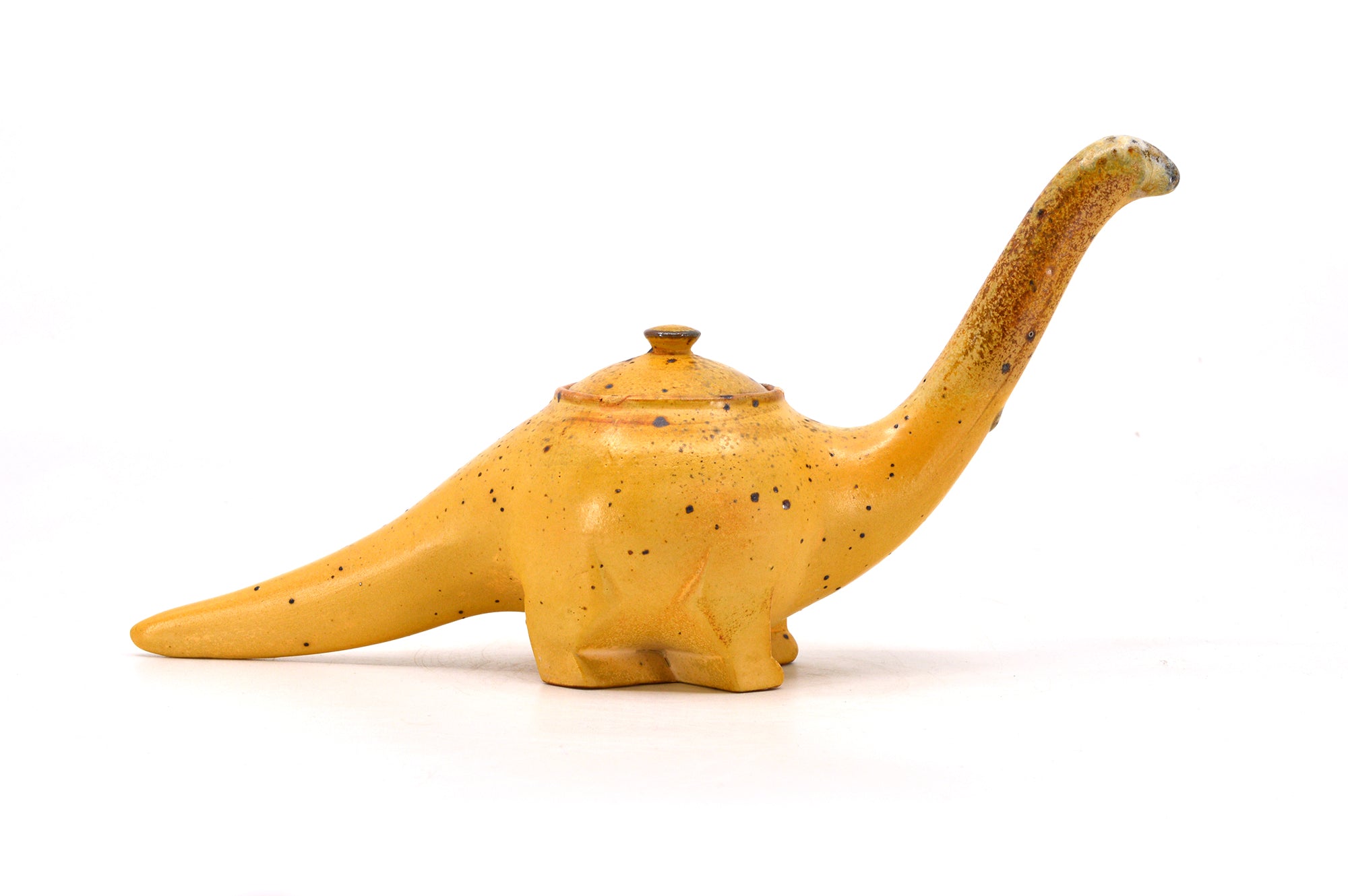 Diplodocus spice jar 066