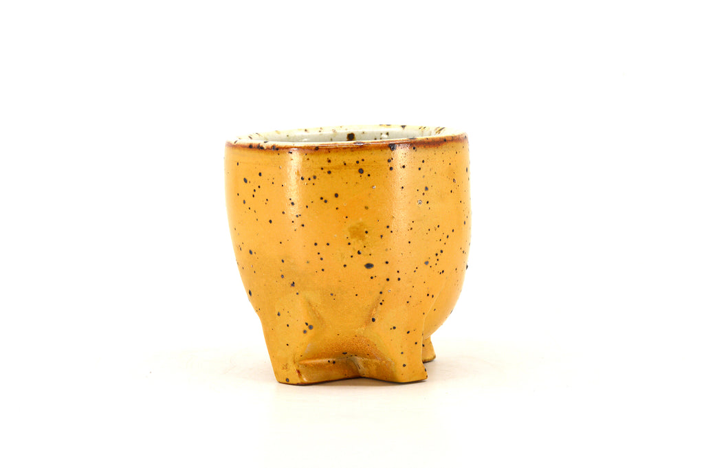 Yellow Footed Cup 073