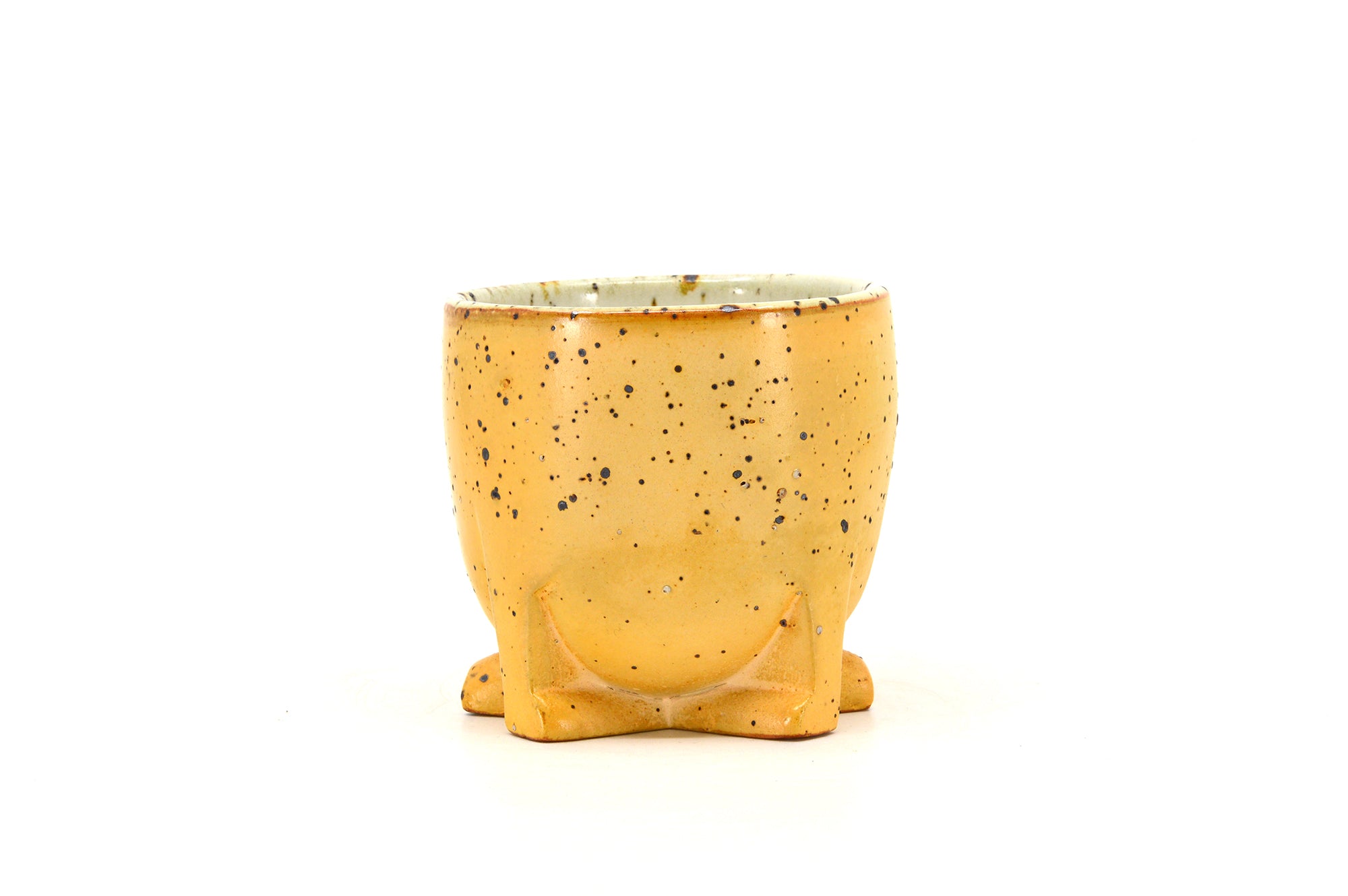 Yellow Footed Cup 074
