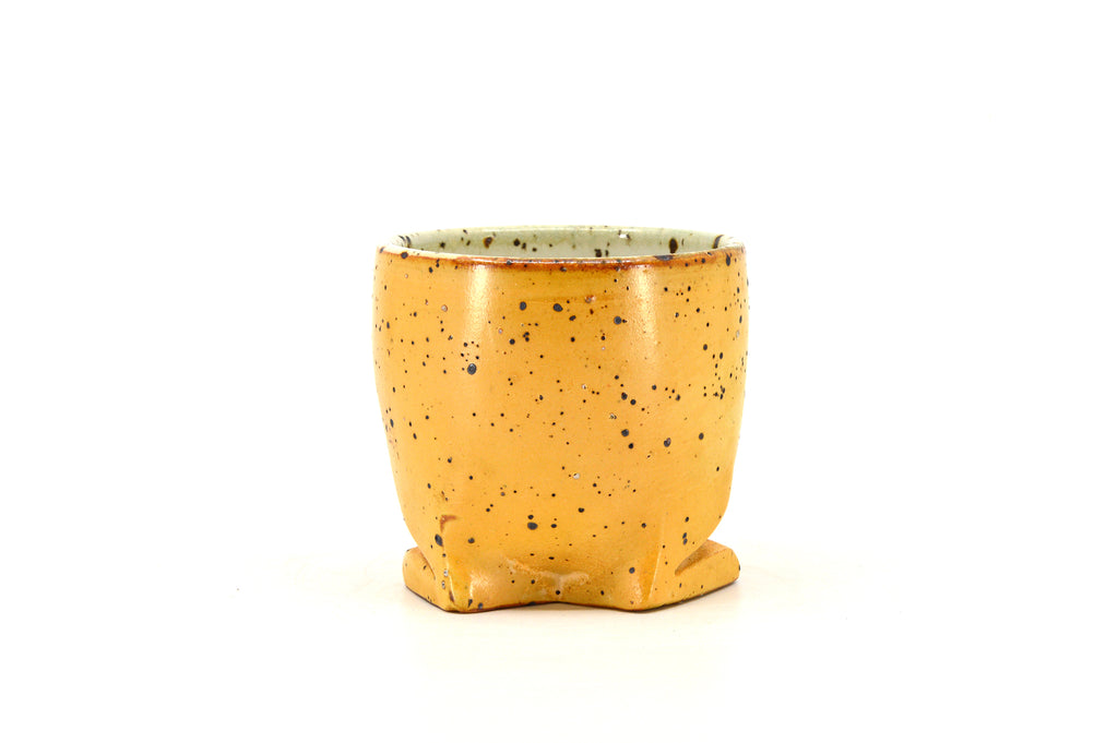 Yellow Footed Cup 074