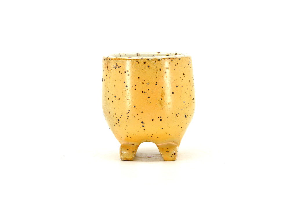 Yellow Footed Cup 076