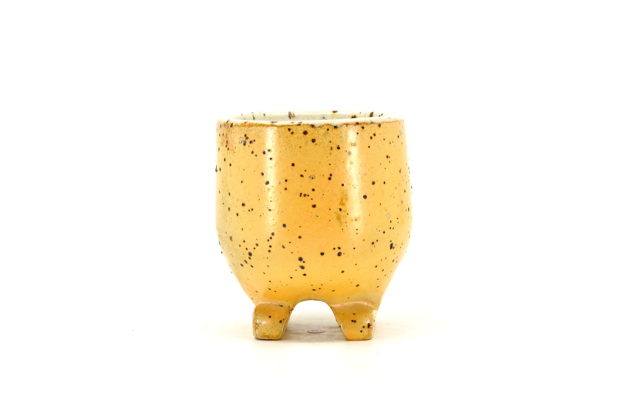 Yellow Footed Cup 076