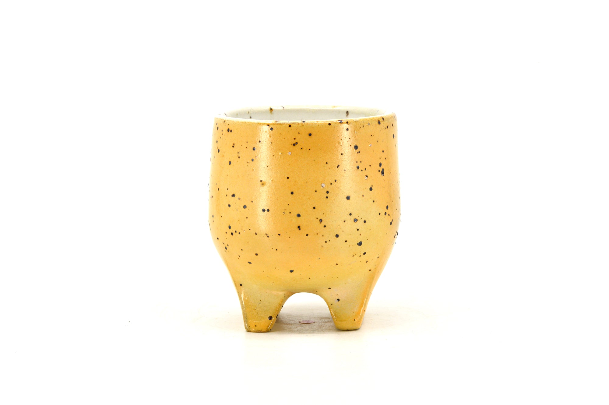 Yellow Footed Cup 076