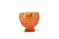 Red Footed Cup 077